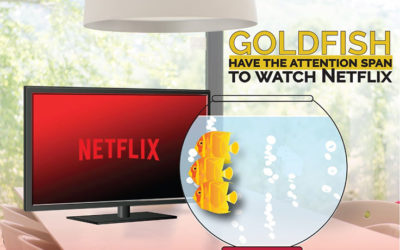 Human Attention Span outlast Goldfish.